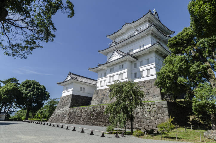 45 - Odawara - castillo de Odawara